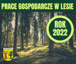 Obrazek - Gospodarka leśna w 2022 roku