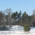 Malowniczy pejzaż Wilczej Góry