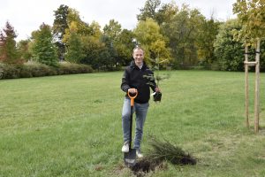 Na trawniku stoi mężczyzna z łopatą i drzewkiem w dłoni.