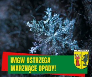 Na obrazku znajduje się zmarznięty płatek śniegu.