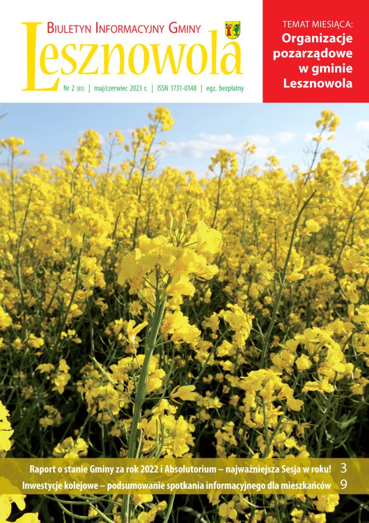 Na obrazku znajduje się pole rzepaku.