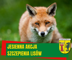 Lis, na zielonym pasku napis JESIENNA AKCJA SZCZEPIENIA LISÓW