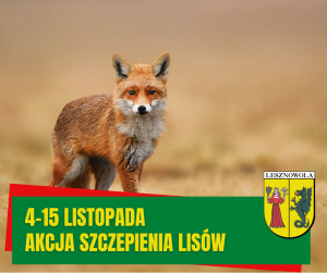 Zdjęcie lisa na beżowym tle.