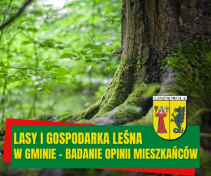 Zdjęcie pnia drzewa pokrytego mchem