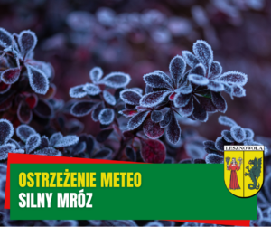 Żółty napis "Ostrzeżenie meteo" i biały napis "silny mróz" na zielonym pasku. W tle zamarznięte rośliny.