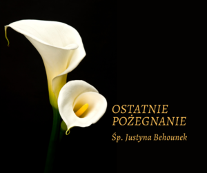 Białe kalie na czarnym tle