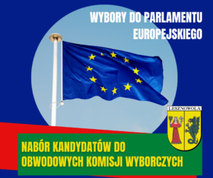 Na granatowym polu w okręgu zdjęcie flagi Unii Europejskiej na błękitnym tle. U góry napis: Wybory do Parlamentu Europejskiego