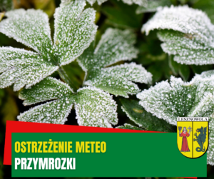 Roślinnośc pokryta szronem, na zielonym pasku napis OSTRZEŻENIE METEO PRZYMROZKI.