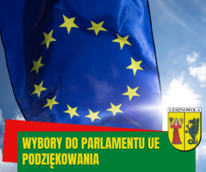 Flaga unijna na tle nieba, na zielonym pasku napis: Wybory do Parlamentu UE Podziękowania