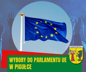 W kółku flaga Unii Europejskiej na granatowym tle, na którym widać podniesione do góry dłonie. Na dolnym zielonym pasu napis: Wybory do Parlamentu Ue w pigułce