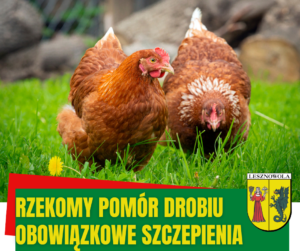 Zielona Trawa, dwie kury. Na zielonym pasku napis: Rzekomy pomór drobiu: obowiązkowe szczepienia