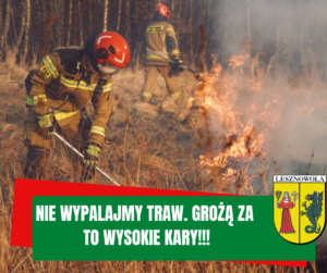 na obrazku widać strażaków gaszących płonące trawy