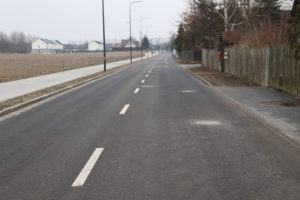 na obrazku widać drogę oraz drzewa