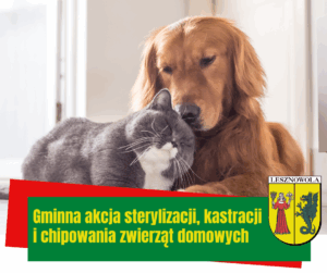 Na obrazku widzimy psa i wtulonego do niego kota, a pod spodem jest napis: gminna akcja sterylizacji, kastracji i chipowania zwierząt domowych