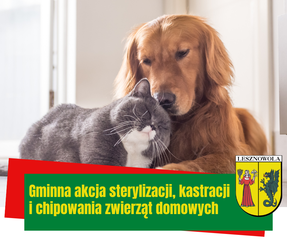 Sterylizacja, kastracja oraz oznakowanie (chipowanie) zwierząt domowych od 5 maja br.