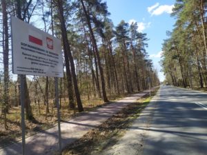 na obrazku widać drogę i drzewa