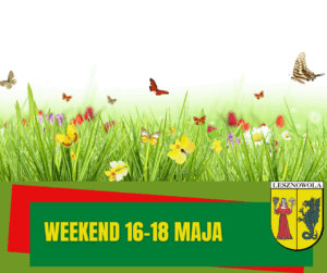 grafika przedstawiająca łąkę