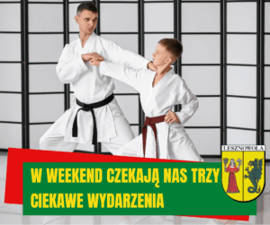 zdjęcie przedstawia pokaz karate