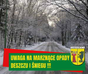 zdjęcie przedstawia biegnącą przez las oblodzoną drogę