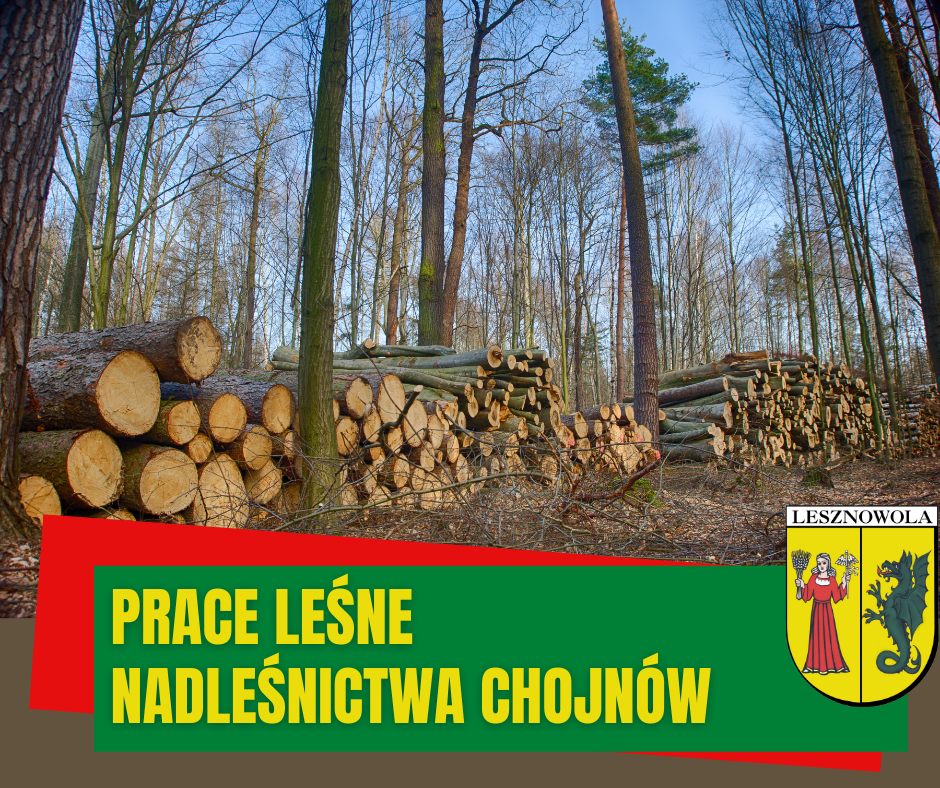 Las i scięte drzewa. Napis na zielonym pasku Prace leśne Nadleśnictwa Chojnów
