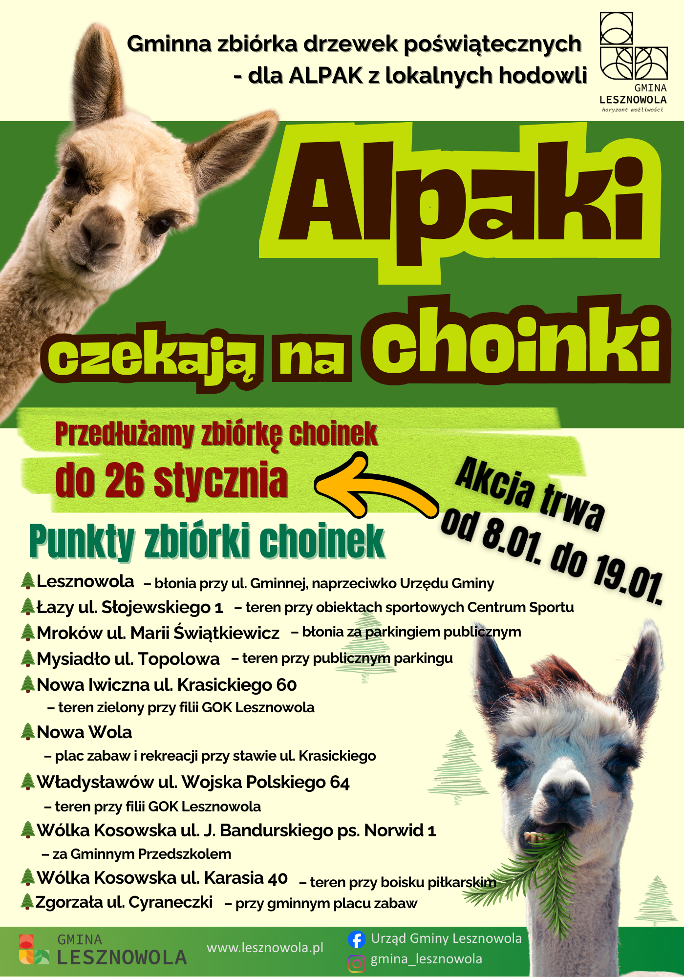 Plakat promujący zbiórke choinek dla alpak