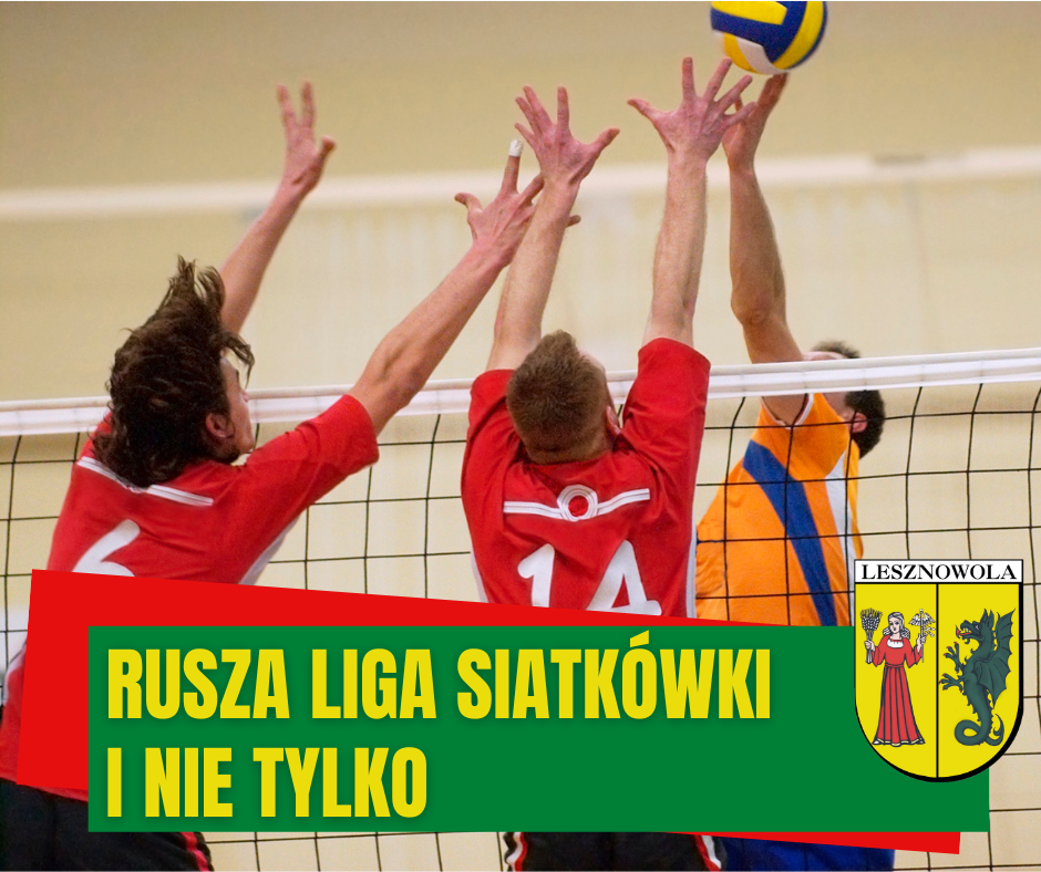 zdjęcie przedstawia rozgrywki siatkówki