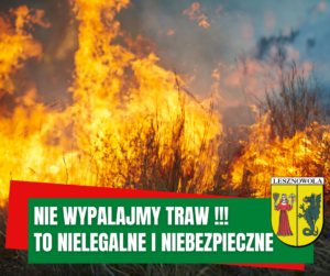 zdjęcie przedstawia płonące trawy