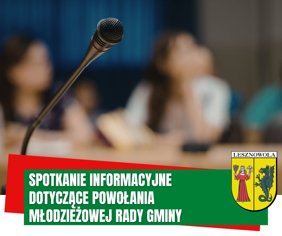 Spotkanie informacyjne dotyczące powołania Młodzieżowej Rady Gminy