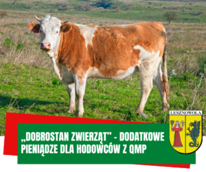 Na obrazku widać bydło a pod spodem napis „Dobrostan zwierząt”. Dodatkowe pieniądze dla hodowców z QMP.