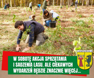 zdjęcie przedstawia zorganizowane sadzenie lasu
