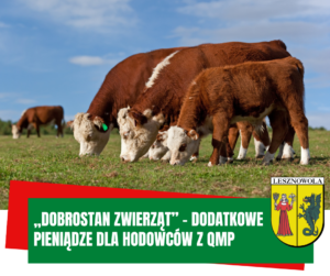 Na obrazku widać pasące się bydło