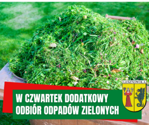 zdjęcie przedstawia skoszoną trawę w koszu na śmieci