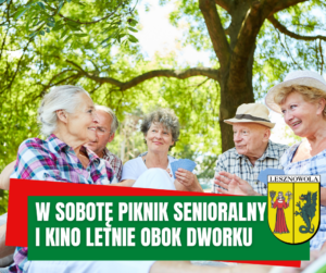 zdjęcie przedstawia grupkę seniorów podczas pikniku