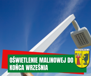zdjęcie przedstawia słup oświetleniowy