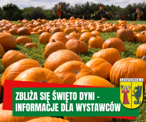 zdjęcie przedstawia dynie